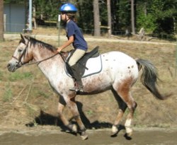 Karina and Siskiyou