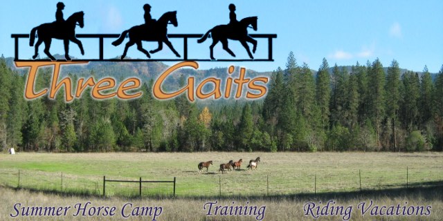 Three Gaits page header