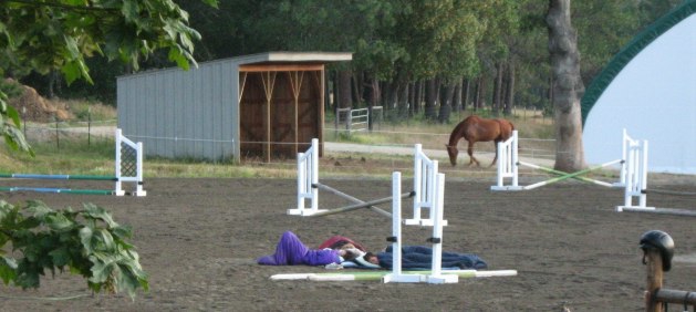 Camping out in the arena -- photography by Judy Herman and friends