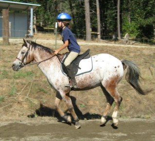 Karina and Siskiyou -- photography by Judy Herman and friends