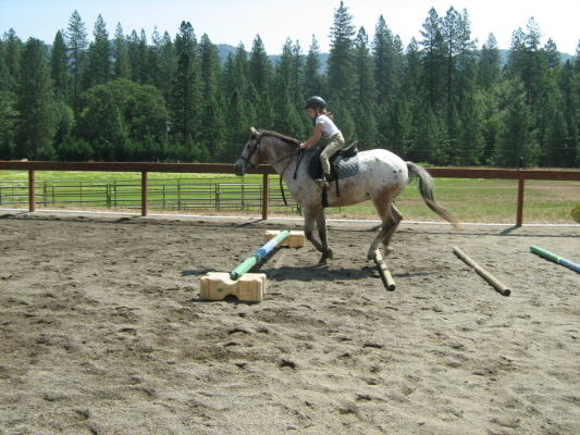 click to this photo of the slide show