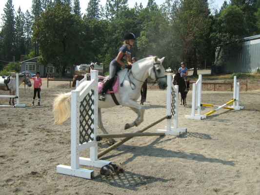 click to this photo of the slide show