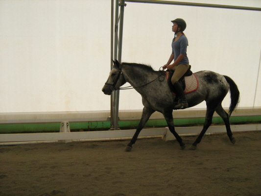 click to this photo of the slide show