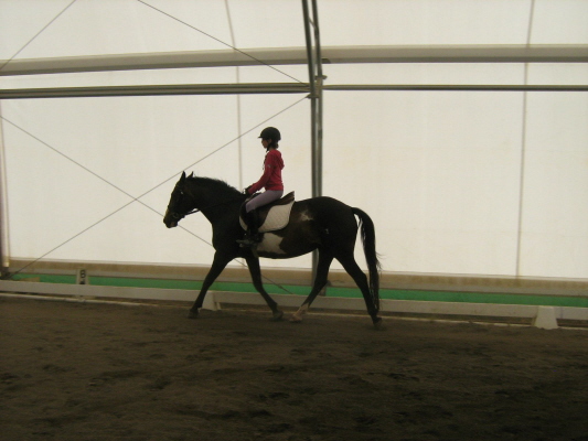 click to the previous photo in this slide show