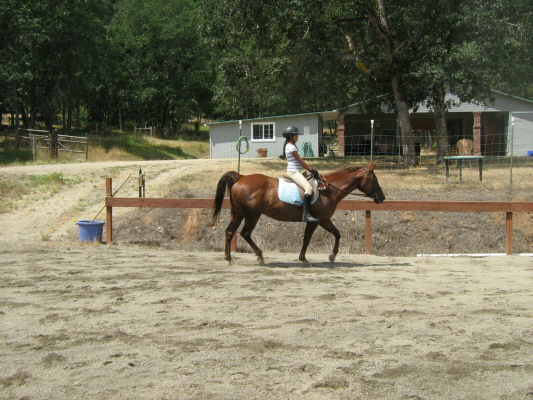 click to this photo of the slide show