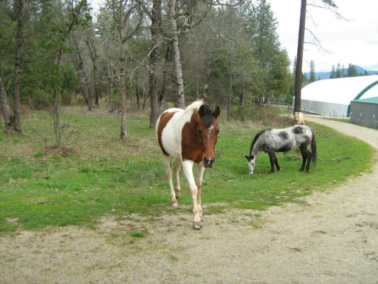 click to this photo of the slide show