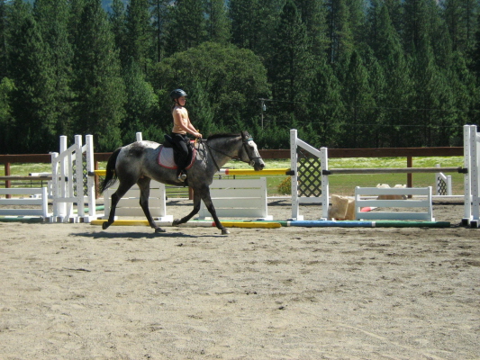 click to this photo of the slide show