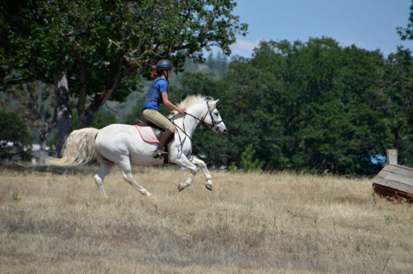 click to this photo of the slide show