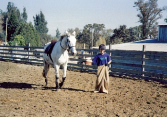 Camp -- photography by Judy Herman and friends