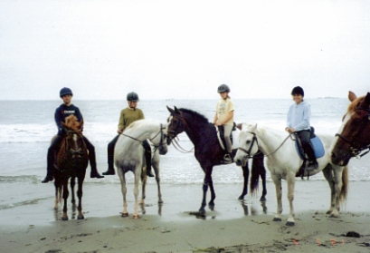 Beach Ride -- photography by Judy Herman and friends