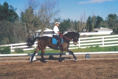 Judy and Salsa -- photography by Judy Herman and friends