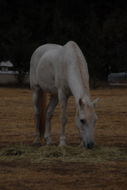 Kalvin (30-something) -- photography by Judy Herman and friends