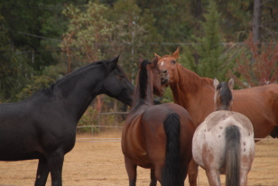 Hey. Wassup? -- photography by Judy Herman and friends